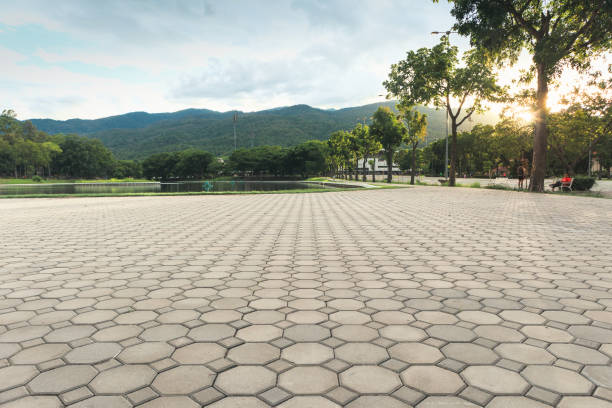 Best Local Driveway Pavers  in Conyers, GA